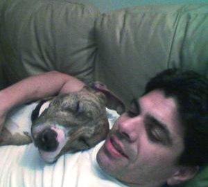 28.1N003.Puppylove1.C 300X300