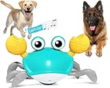 Hongid Crawling Crab Dog Toys,Escaping Crab Dog Toy With Obstacle Avoidance Sensor,Interactive Dog Toys With Music Sounds &Amp; Lights For Dogs Cats Pets,Christmas Toy Gifts For Puppy/Small/Medium Dogs