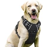 Rabbitgoo Dog Harness, No-Pull Pet Harness With 2 Leash Clips, Adjustable Soft Padded Dog Vest, Reflective No-Choke Pet Oxford Vest With Easy Control Handle For Large Dogs, Black, L