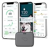 Whistle Go Explore/The Ultimate Health + Gps Location Tracker For Pets/Grey