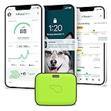 Whistle Go Explore/The Ultimate Health + Gps Location Tracker For Pets/Green (100-04202-00)