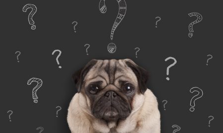 Questions