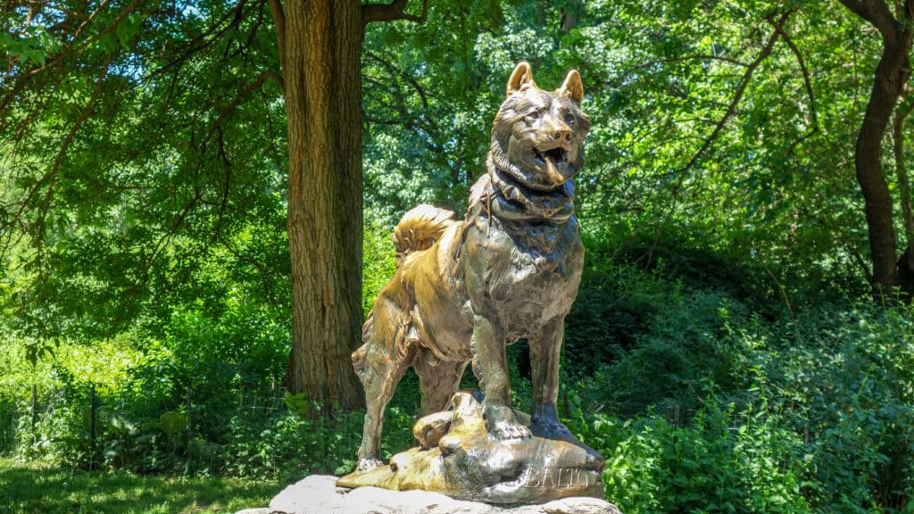 Balto Statue In Central Park In New York