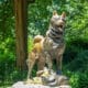 Balto Statue In Central Park In New York