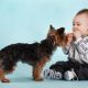 Bigstock Baby Boy And Dog 5