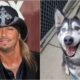 Bret Michaels Adopting His Namesake Dog