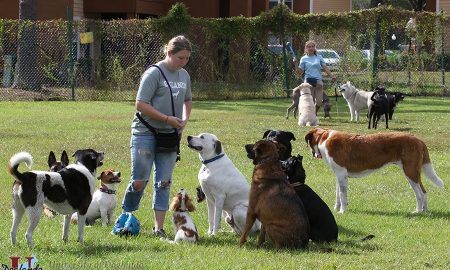 Brianna And Luz Group Sit Play As6J1432