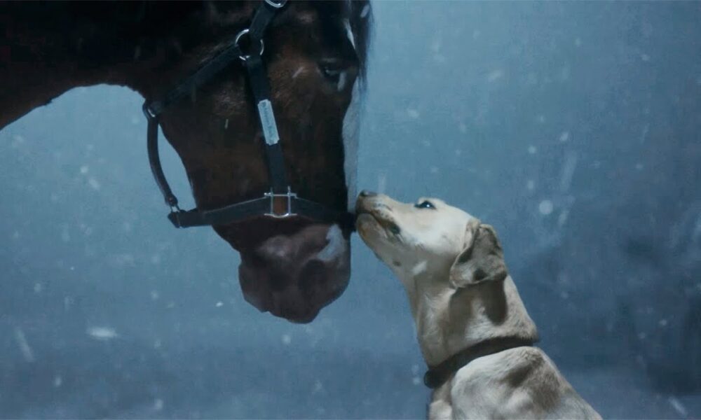Budweiser Super Bowl Ad
