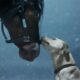 Budweiser Super Bowl Ad