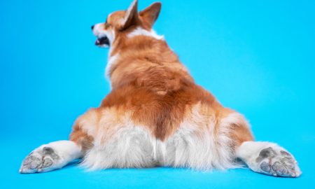 Butttrim