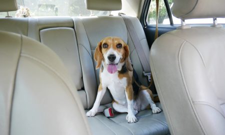 Carride