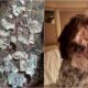 Cecil The Dog Who Ate $4000 In Cash