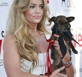 Celebrity Denise Richards