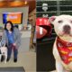 Chief With His New Owner After Being Adopted At A Super Bowl-Themed Event
