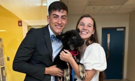 Daisy The Puppy With Her New Fur Parents
