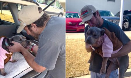 Dave Portnoy With Miss Peaches The Rescue Dog