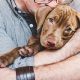 Pit Bull