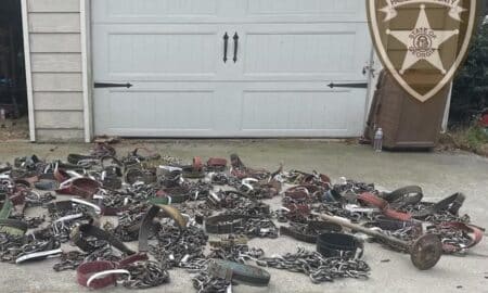 Dog Shackles