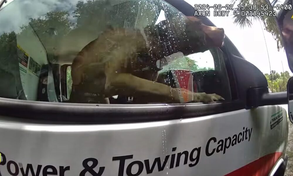 Dog Trapped In A U-Haul Truck Gets Rescued By The Police
