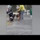 Dog Walker In Court To Face Animal Cruelty Charges