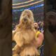 Brodie The Goldendoodle At The Lakers-Knicks Game