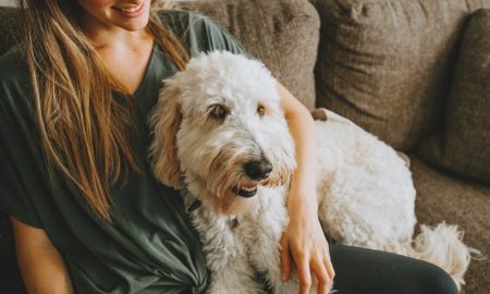 Dogsitter Min