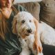 Dogsitter Min