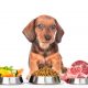 Pet Food
