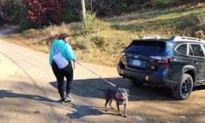 Ella Finall Going Home To Her Forever Home After 7 Years