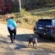 Ella Finall Going Home To Her Forever Home After 7 Years
