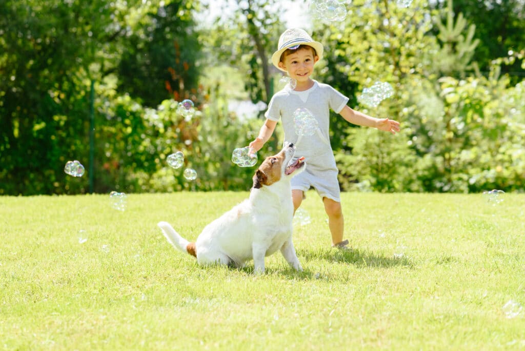 Happy Kid And Pet Dog Playing With Soap Bubbles At Backyard
