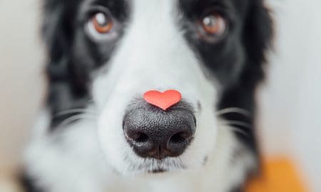 Heart3