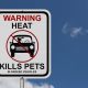 Hot Car