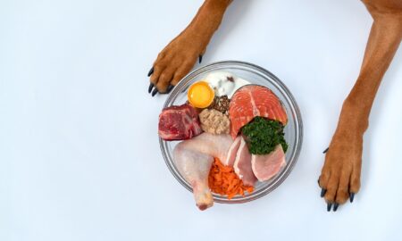 High Protein High Fiber Diet