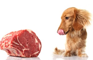 Istock 000009971442Xsmall