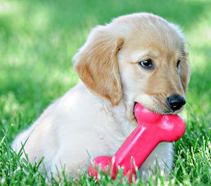 Istock 000018965310Xsmall