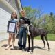 Kevin The Great Dane, Tallest Living Dog In The World