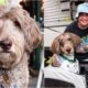 Kygo The Dog Meeting Kygo The Dj