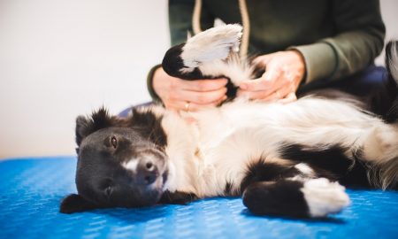 Massage