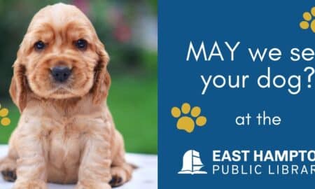 May We See Your Dog Fee Forgiveness Program