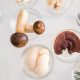 Mushrooms Min