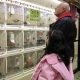 Newyorkpetstore Min