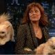 Pennysarandon