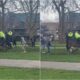 Police Horse Attacked By A Dog In A London Park