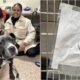 Puppy Abandoned With A Note Finds Forever Home
