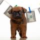 Puppyscam2020