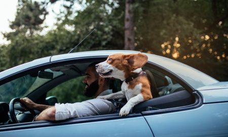 Road Trip