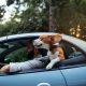 Road Trip