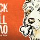 Rockandrollover Cover