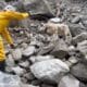 Roger The Dog Looking For Quake Victims